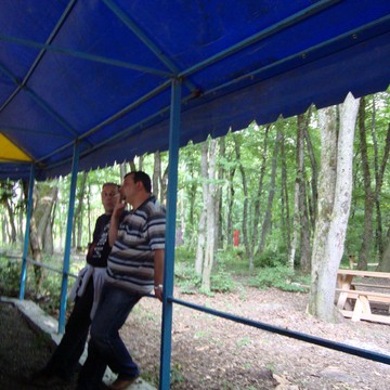 DSC00299
