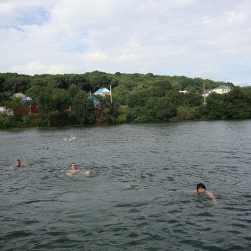 DSC00306