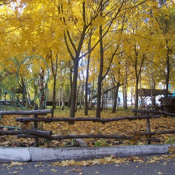 Изображение 070