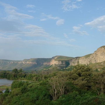 DSC04221