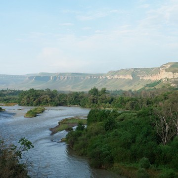 DSC04241